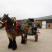 Open dag Timmermans Agri Service
